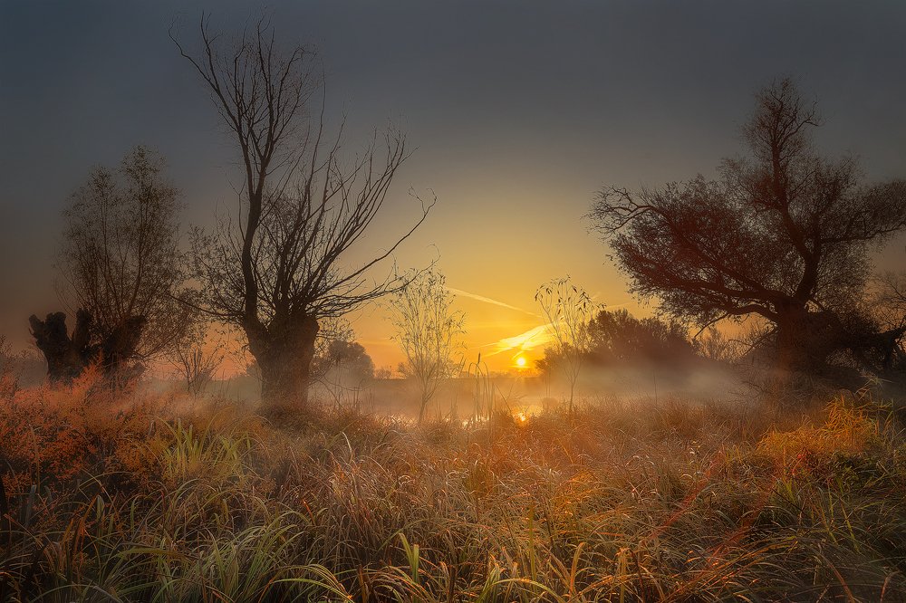 Photograph by Martin Kucera