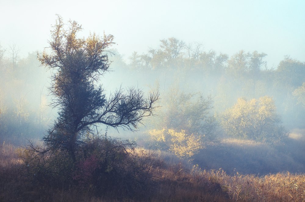 Photograph by Александр Майоров