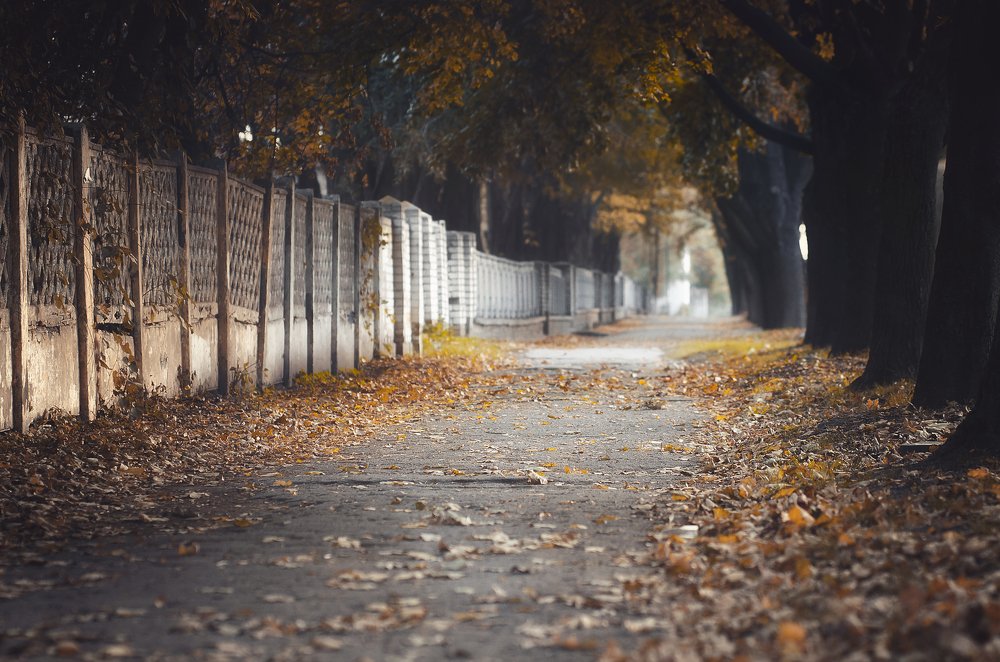 Photograph by Александр Майоров