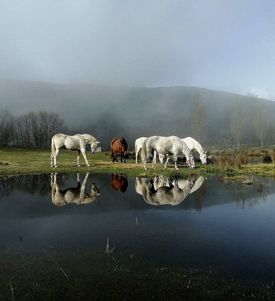 Photograph by Ricardo