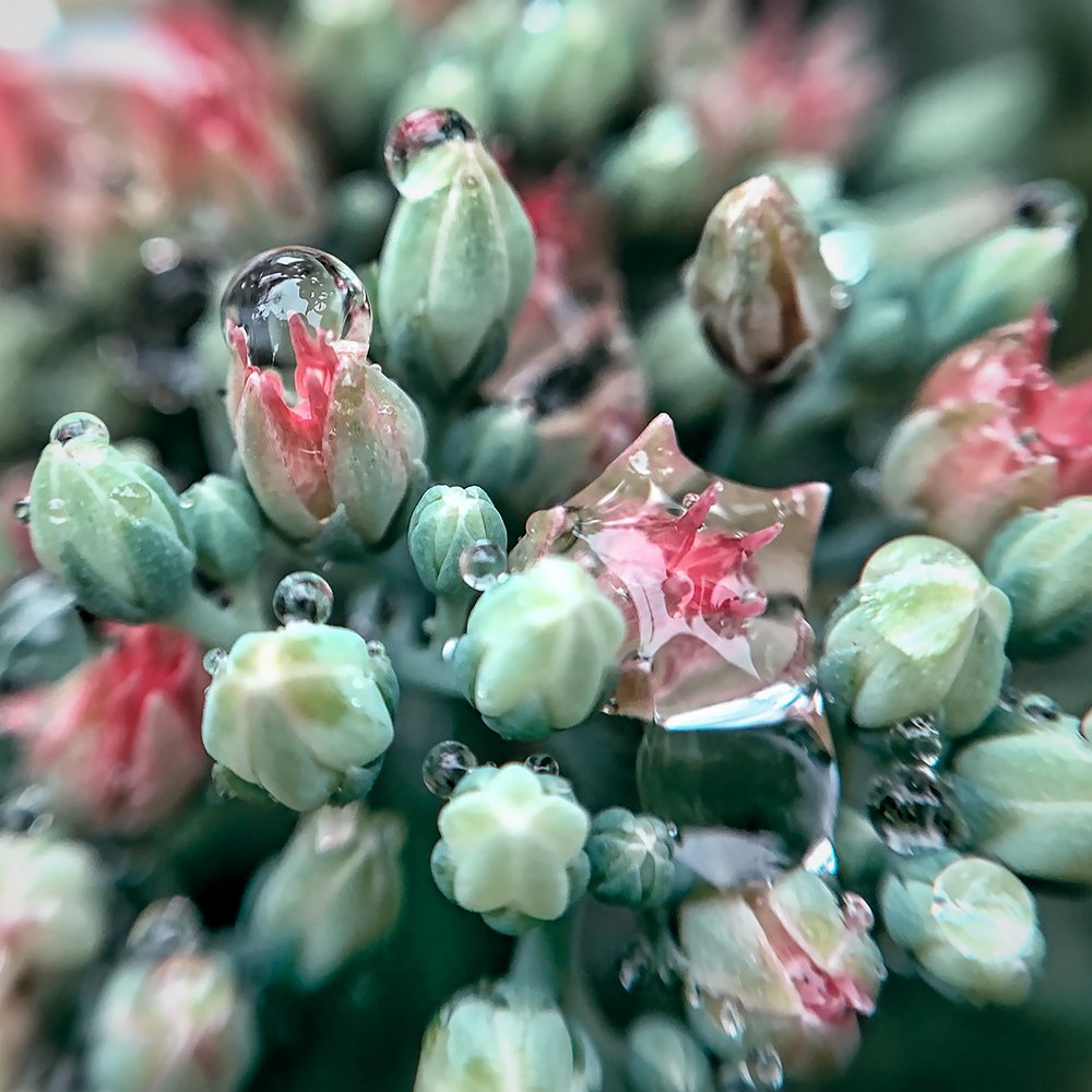 Инкрустированный Букет