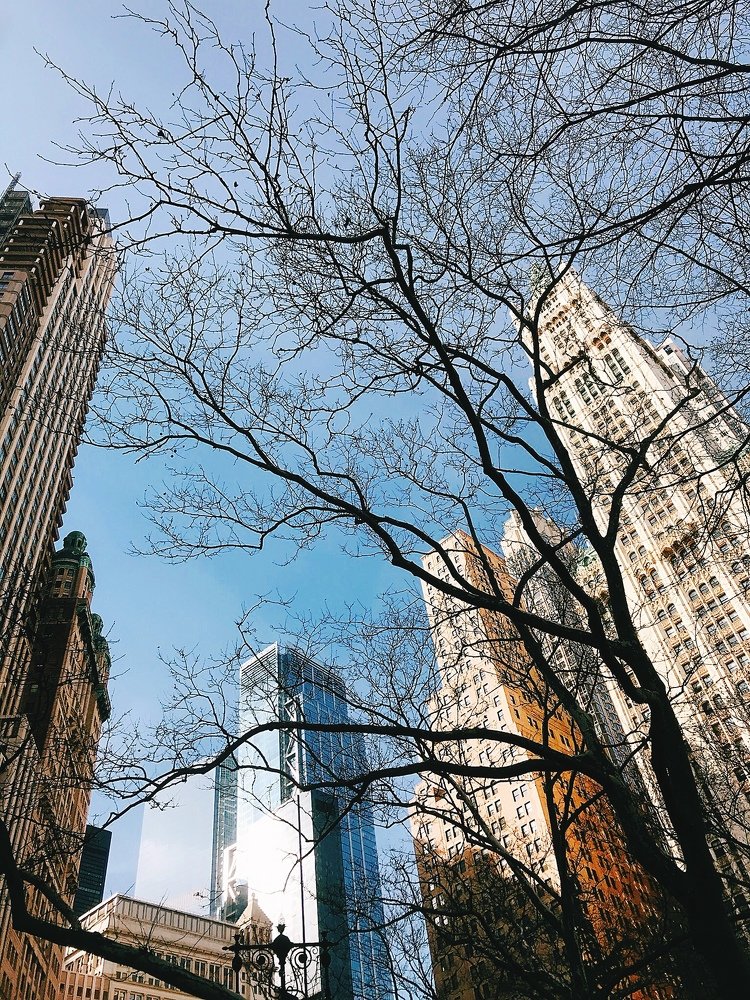 Photograph by Анна Куманцова