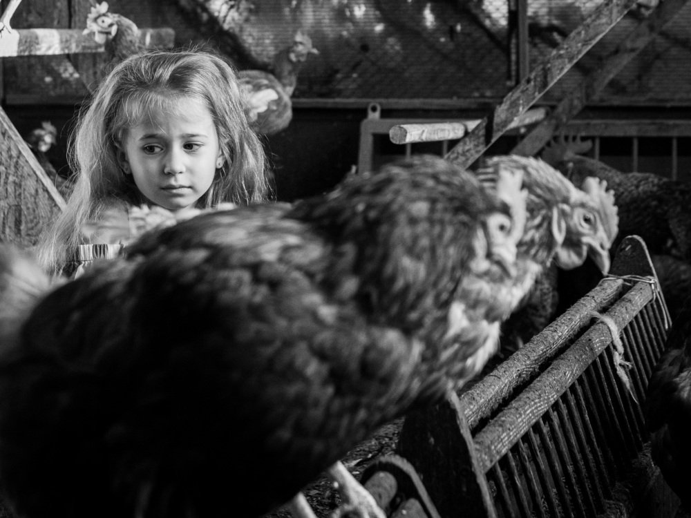 Photograph by Евгений Новицкий