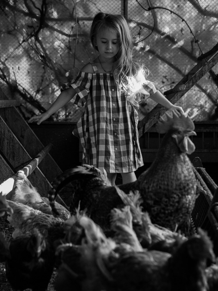 Photograph by Евгений Новицкий