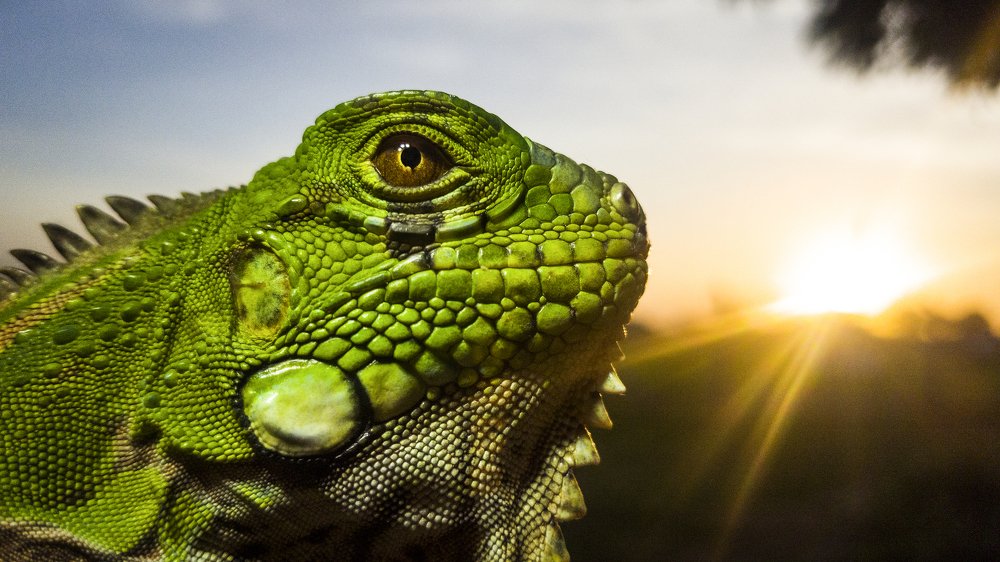 Photograph by Marden Acampora