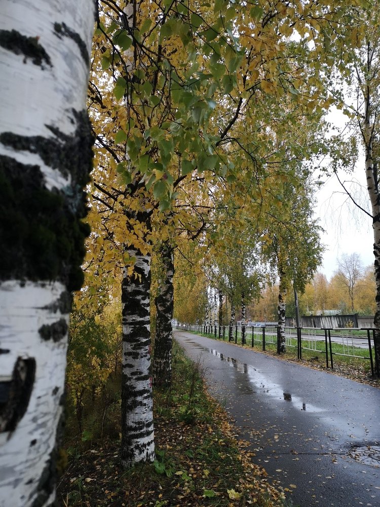 Photograph by Ирина Алексеевская