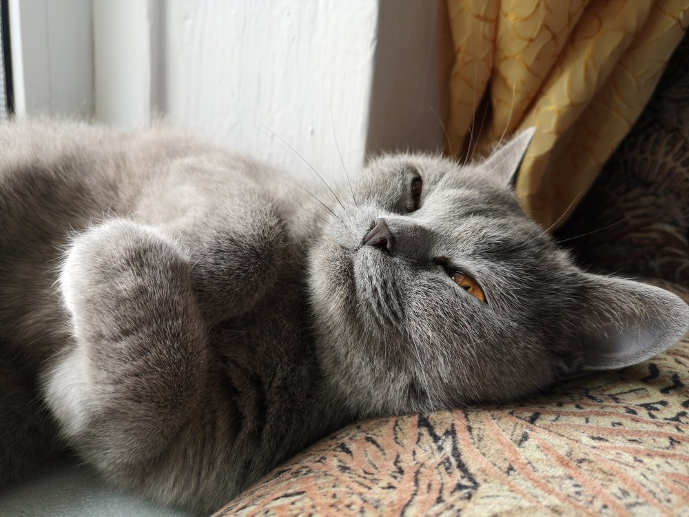 Photograph by Ирина Алексеевская