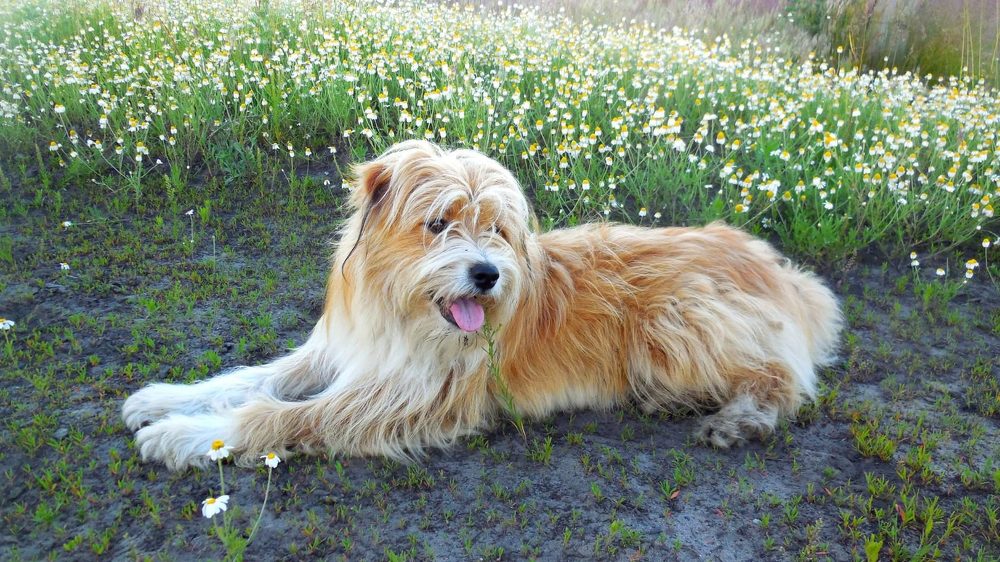 Фотография автора Павел Попов