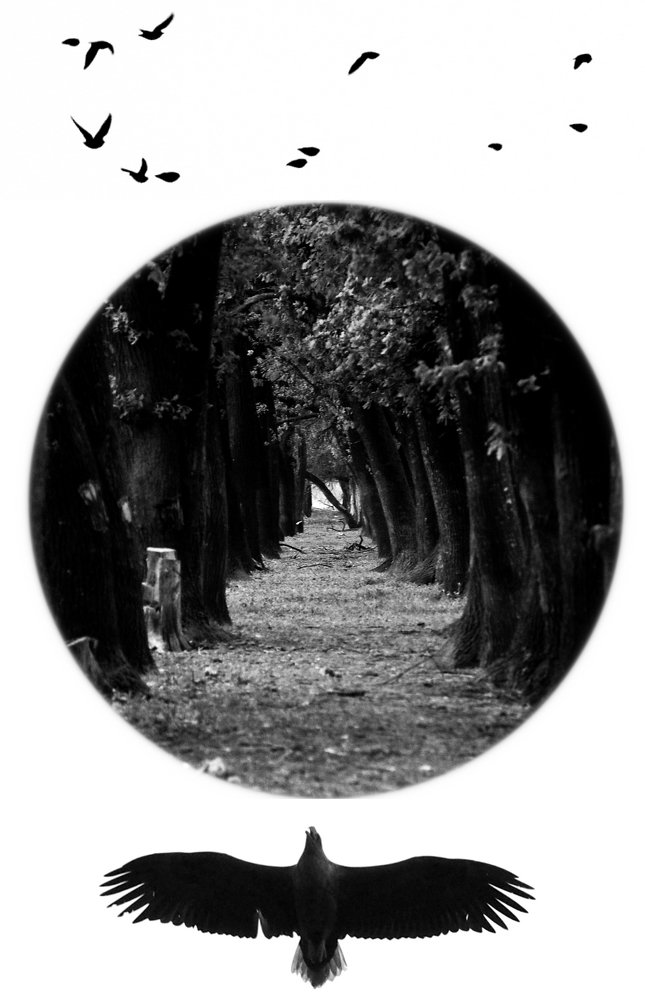 Photograph by Влад Имиров