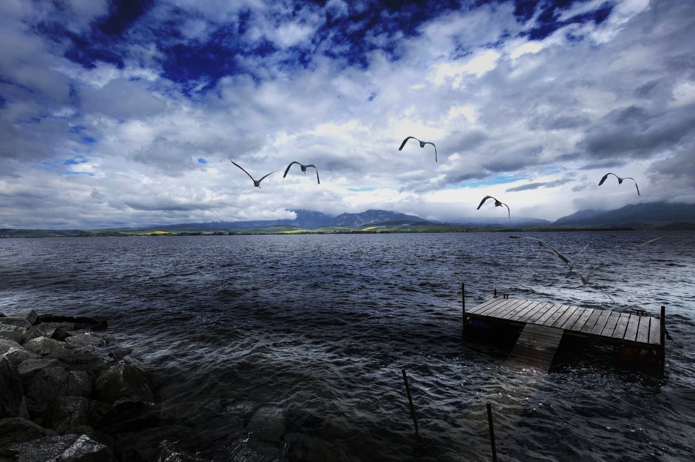 Photograph by Magdalena Kolenicova