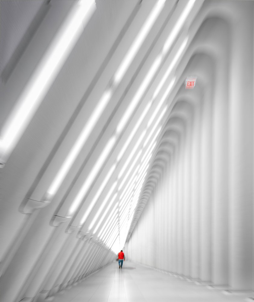 Photograph by rami yazagi