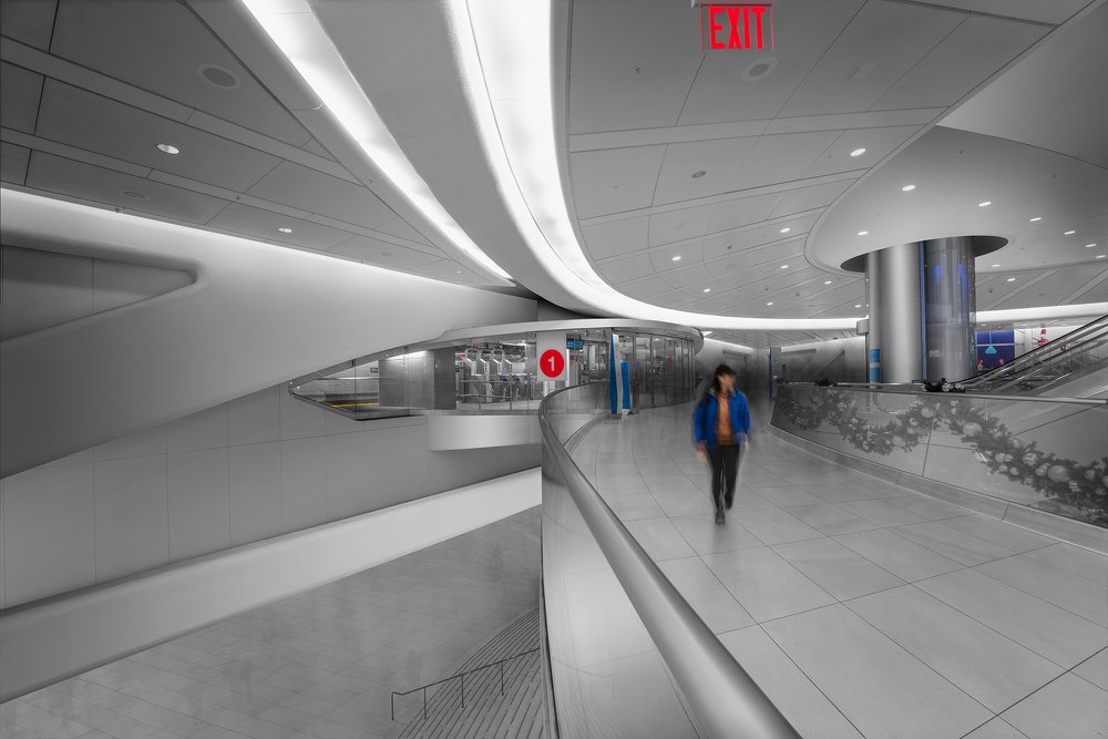 Photograph by rami yazagi