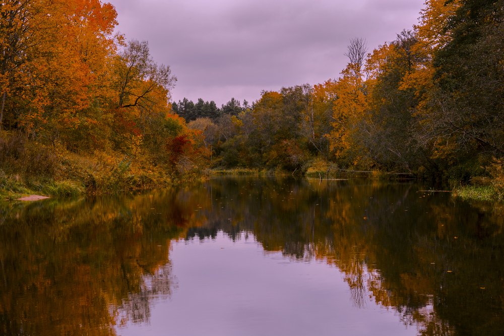 Краски осени