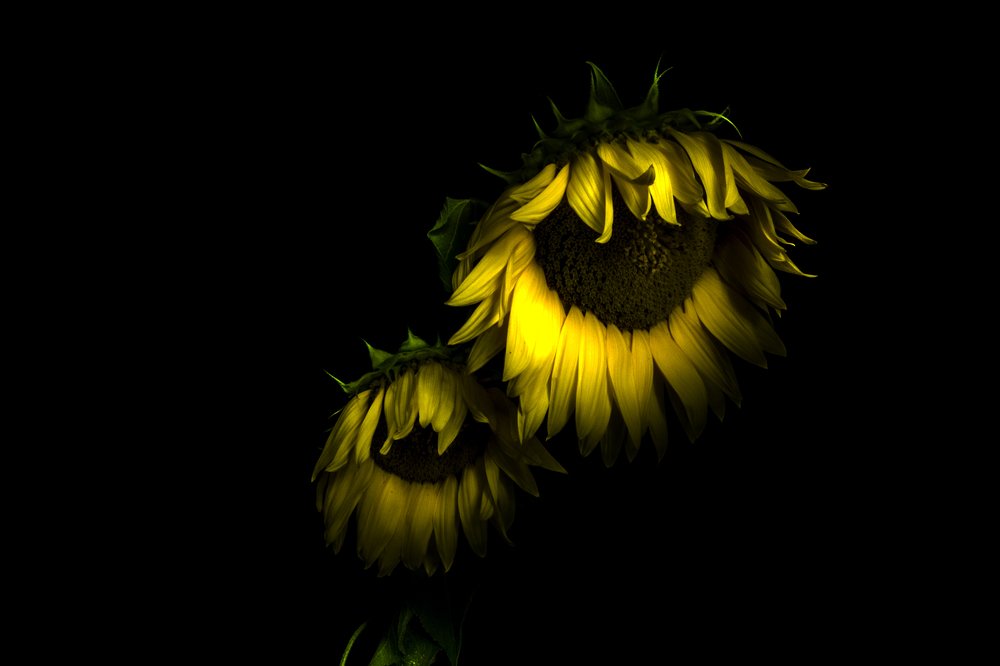 Photograph by Dino Sirica