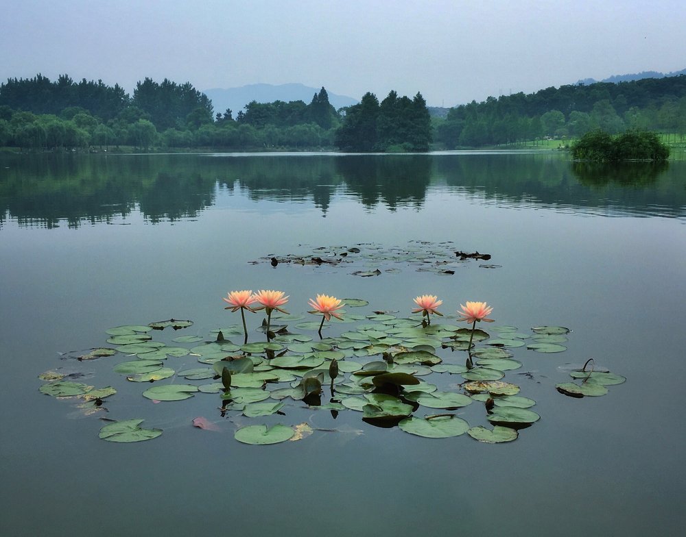 Photograph by Wang Li