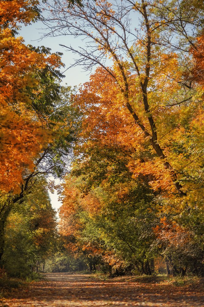 Photograph by Наталья Аржанова