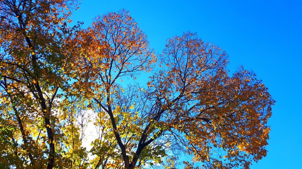 Photograph by Сергей Смирнов