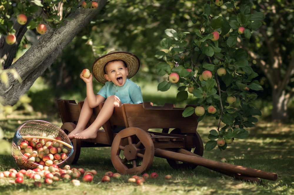 Фотография автора Ольга Раловец