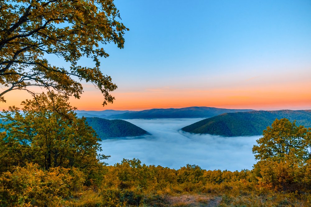 Photograph by Андрей Иордан