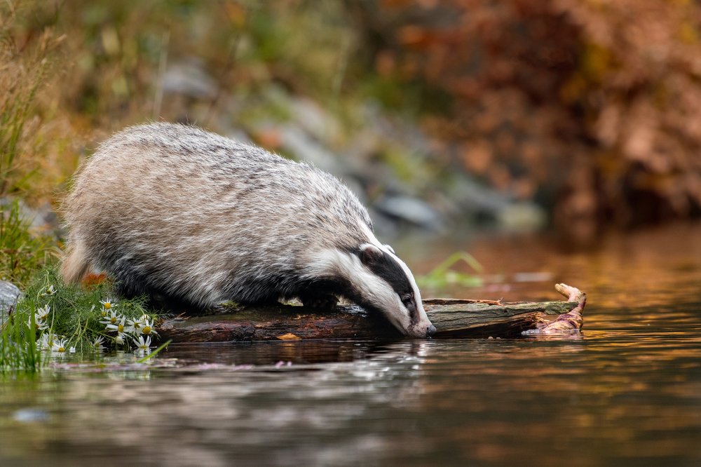 Photograph by Lucia Drietomska