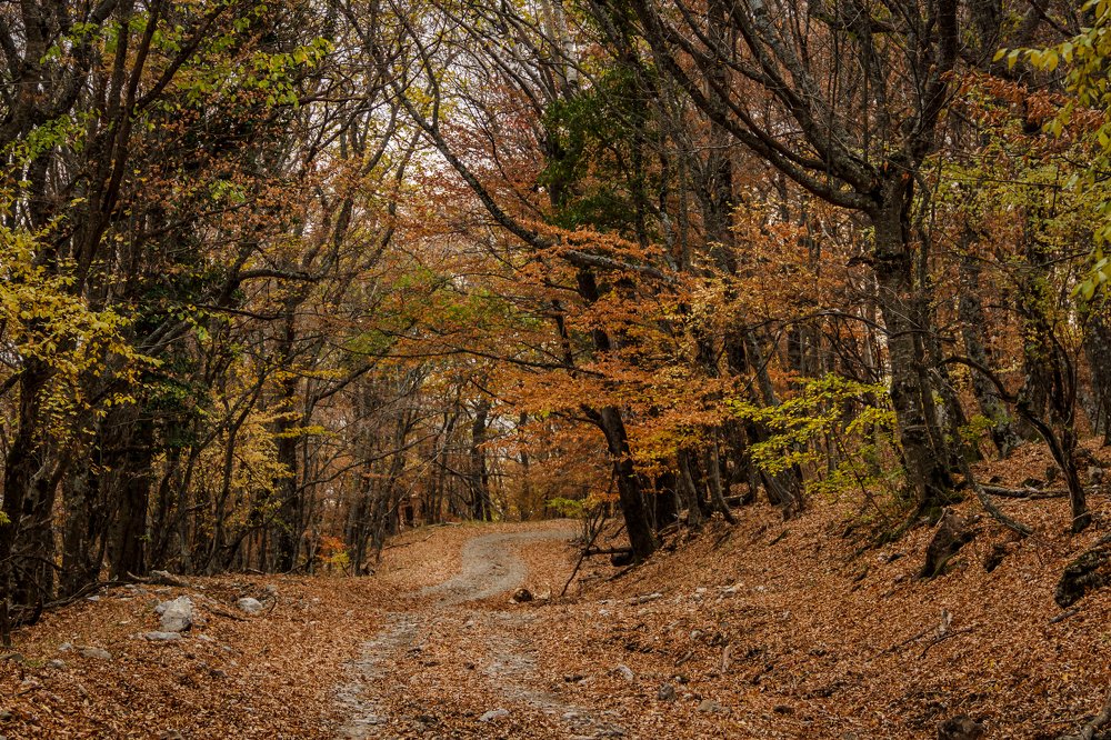 Photograph by Игорь Сидун