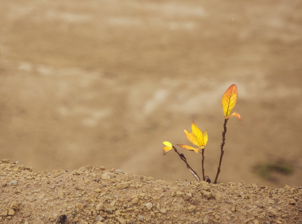 Photograph by Olga Oginskaya