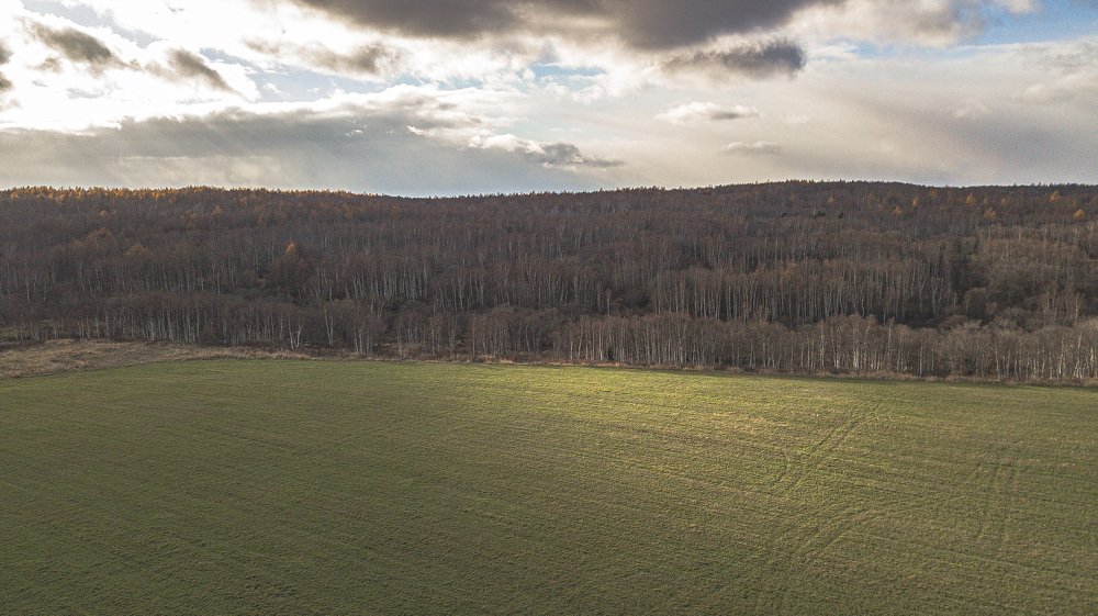 Фотография автора Маргарита Басова