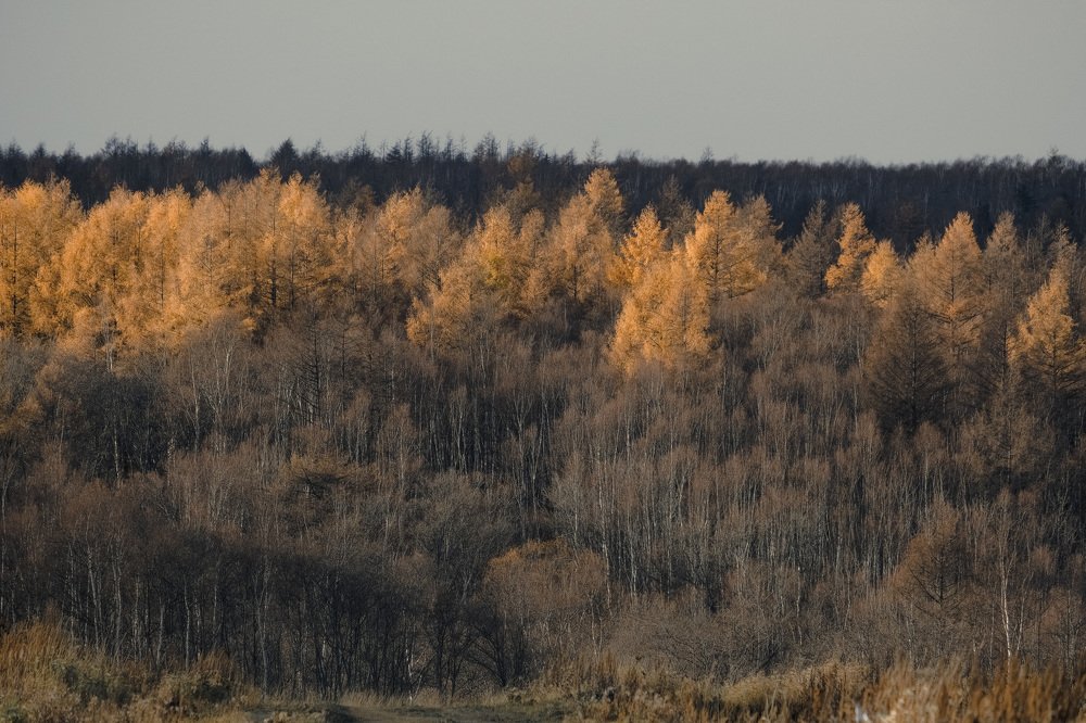 Фотография автора Маргарита Басова