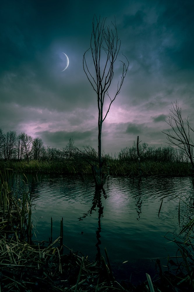 Photograph by Игорь Кляхин