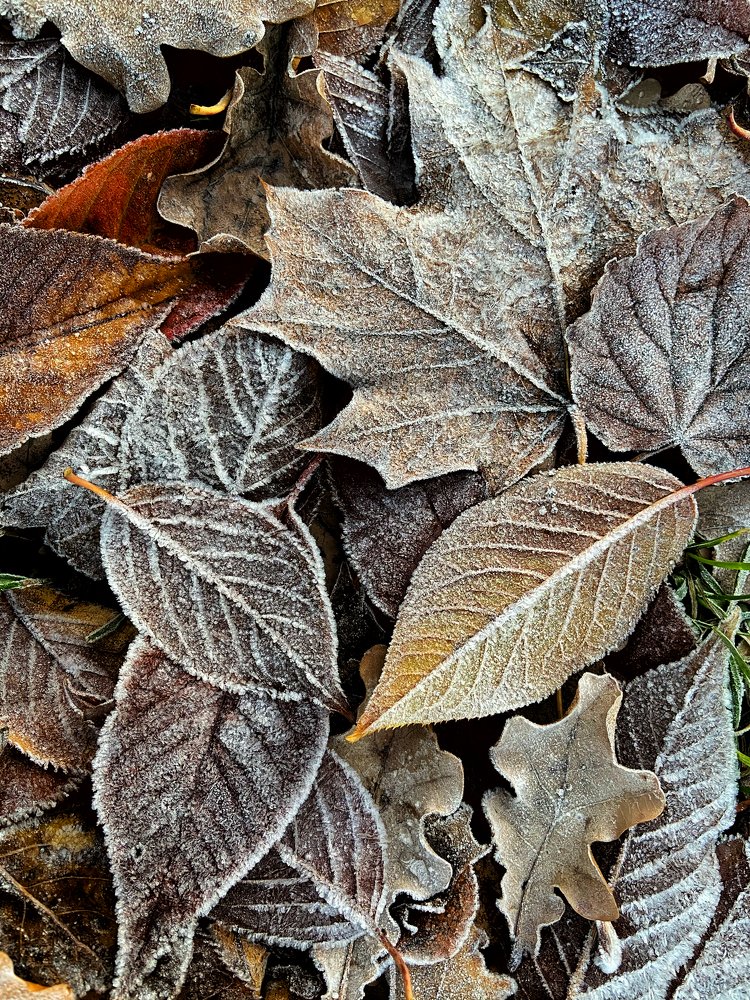 лёгкое дыхание приближающейся зимы