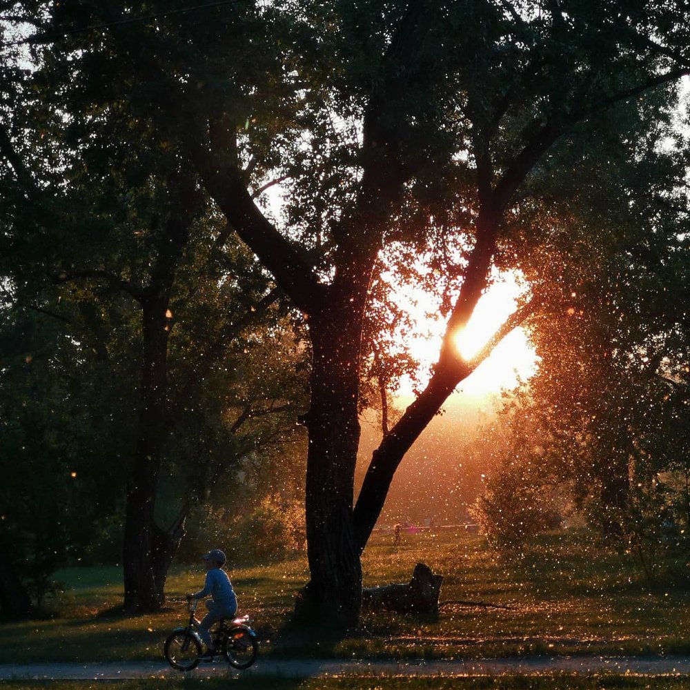 Photograph by Дмитрий Фёдоров