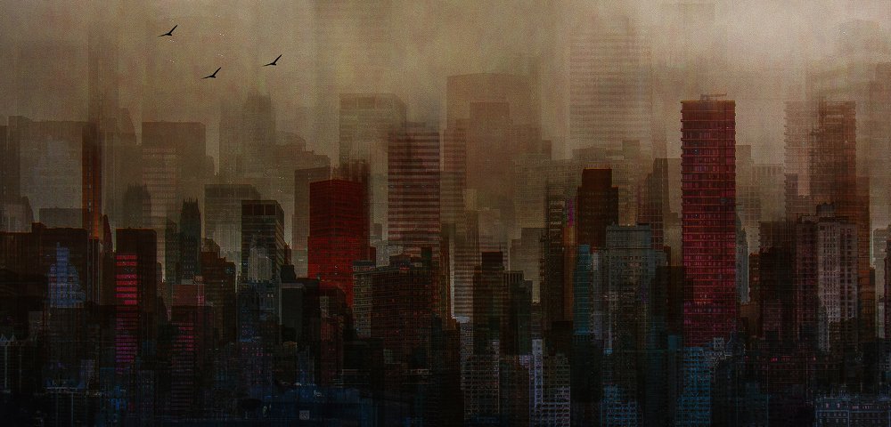 Photograph by Ibrahim Nabeel