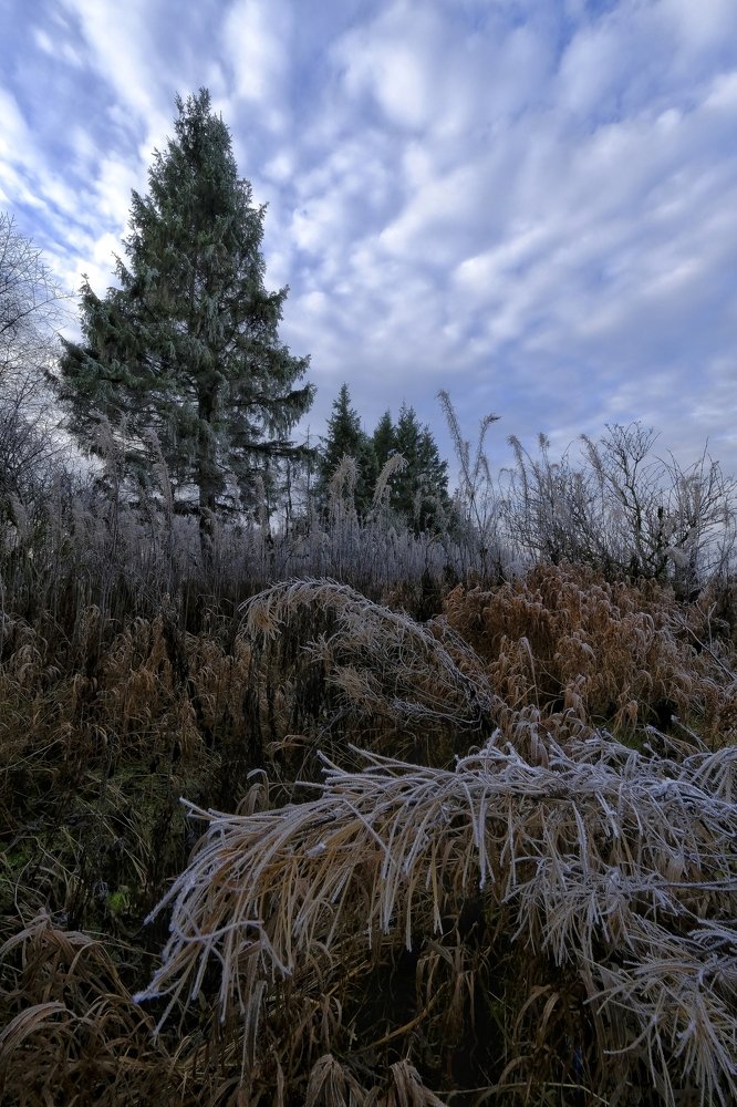 Фотография автора Максим