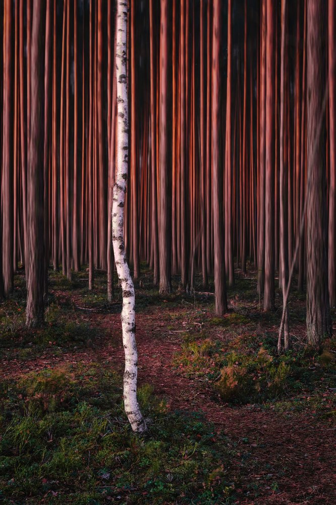 Фотография автора Максим