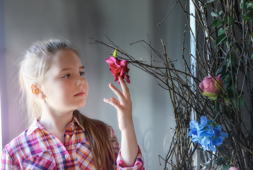 солнечный луч