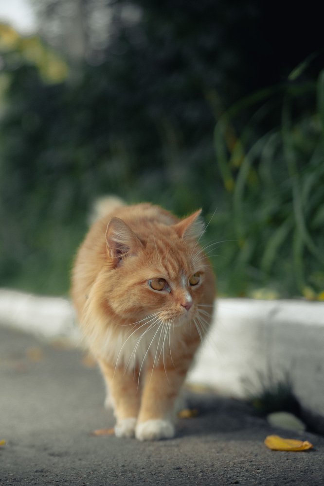 Photograph by Данил Коротких