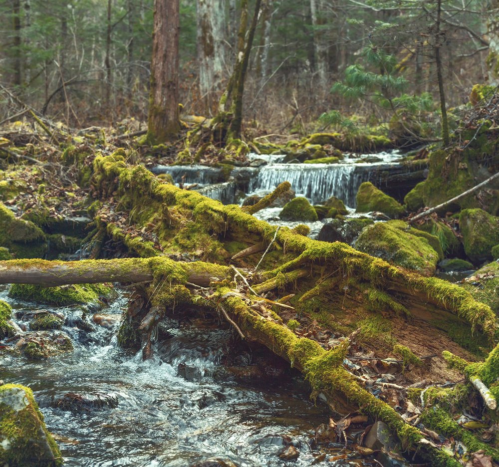 Photograph by Александр Кузнецов
