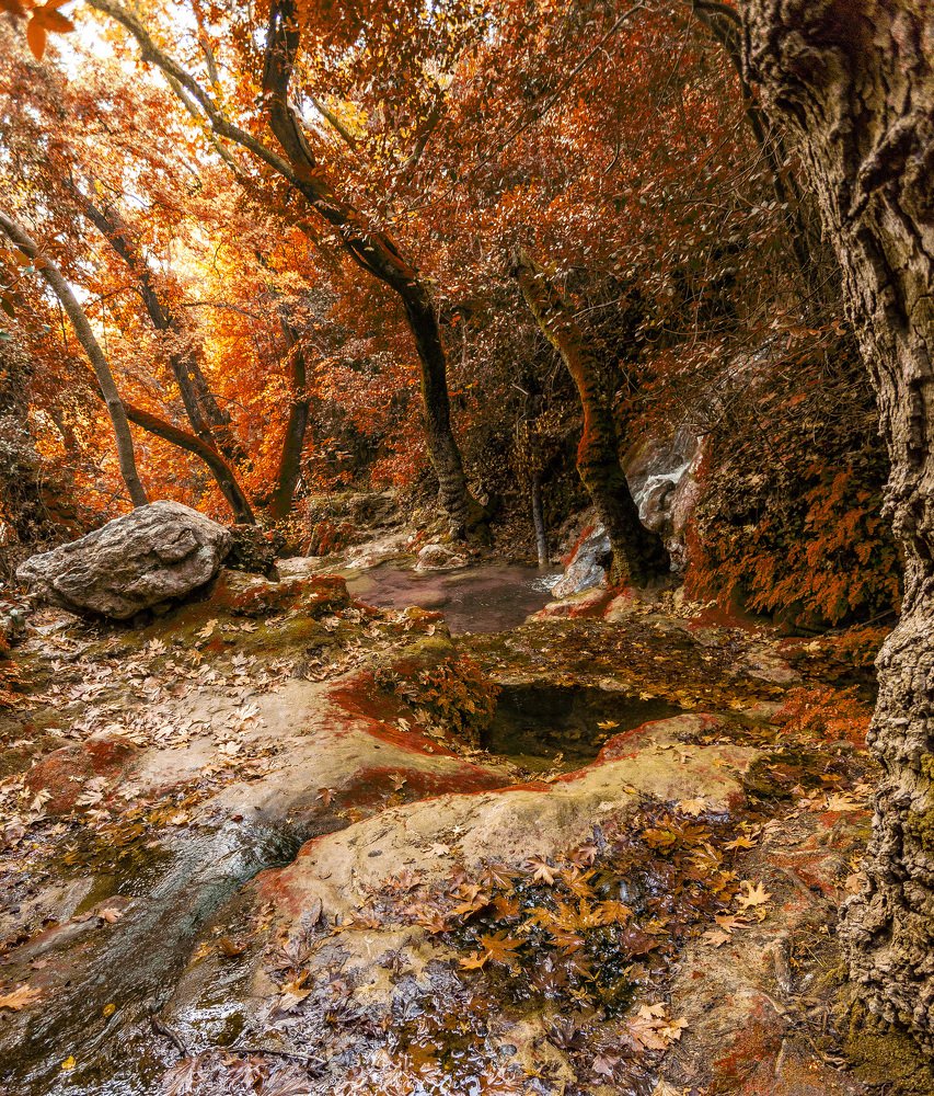 Photograph by AYKUT SEVINC