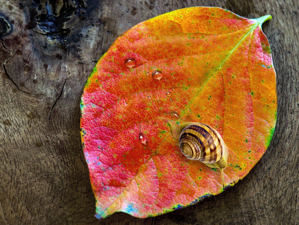 Photograph by AYKUT SEVINC