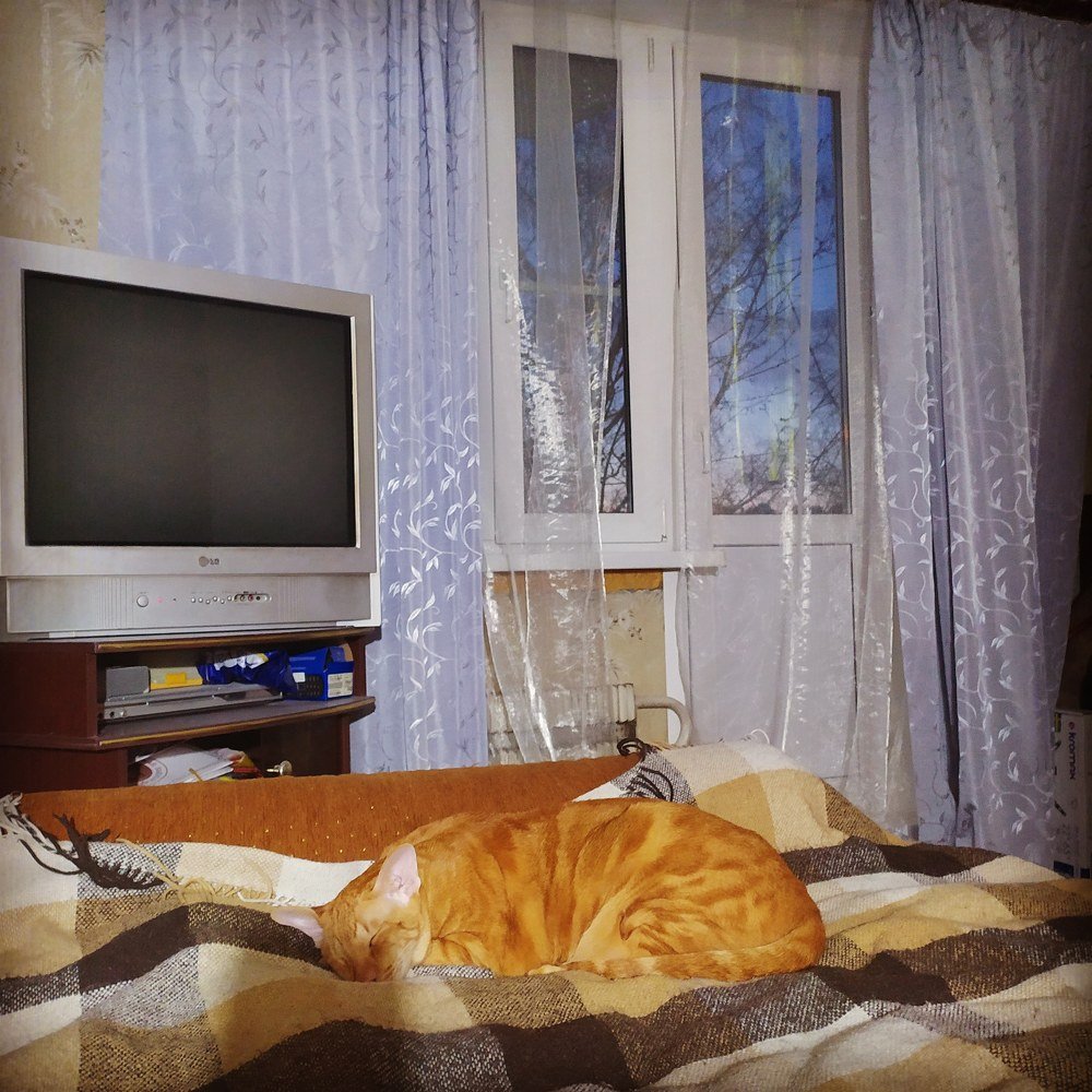 Photograph by Мартынова Ирина