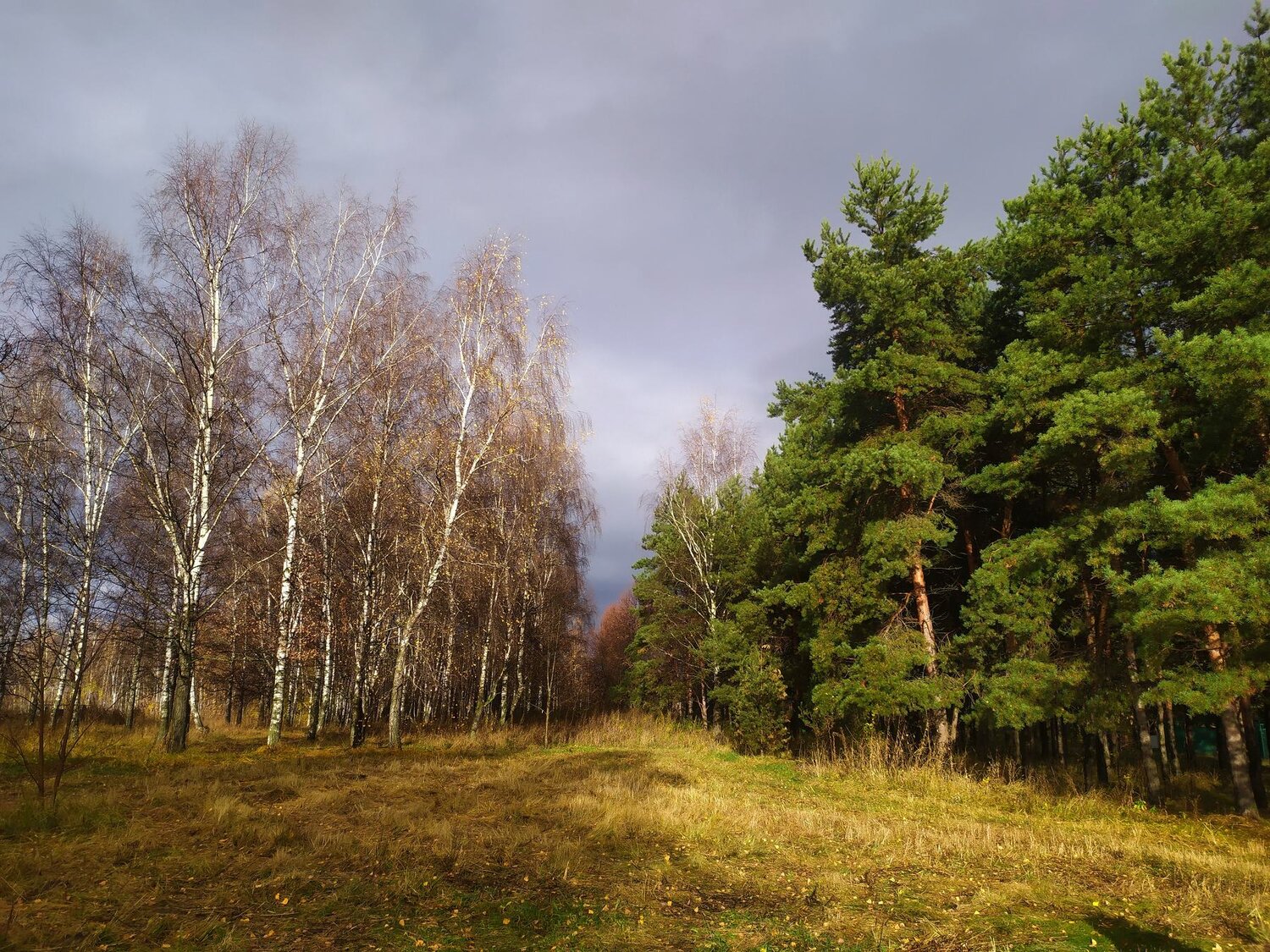 Photo #5227008