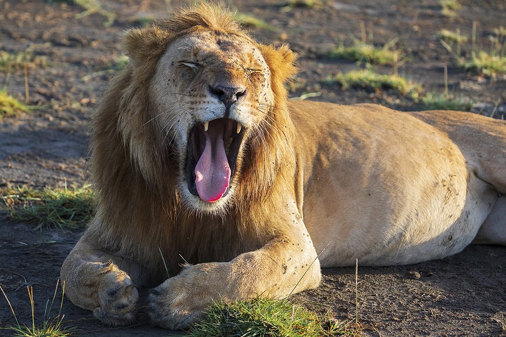 Photograph by Марк Гузик