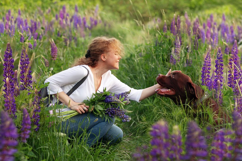 Photograph by Анна Кудрявцева