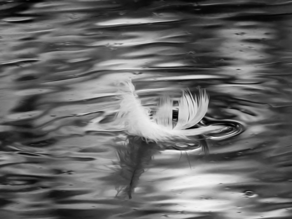 Фотография автора Katica Pecigoš-Kljuković