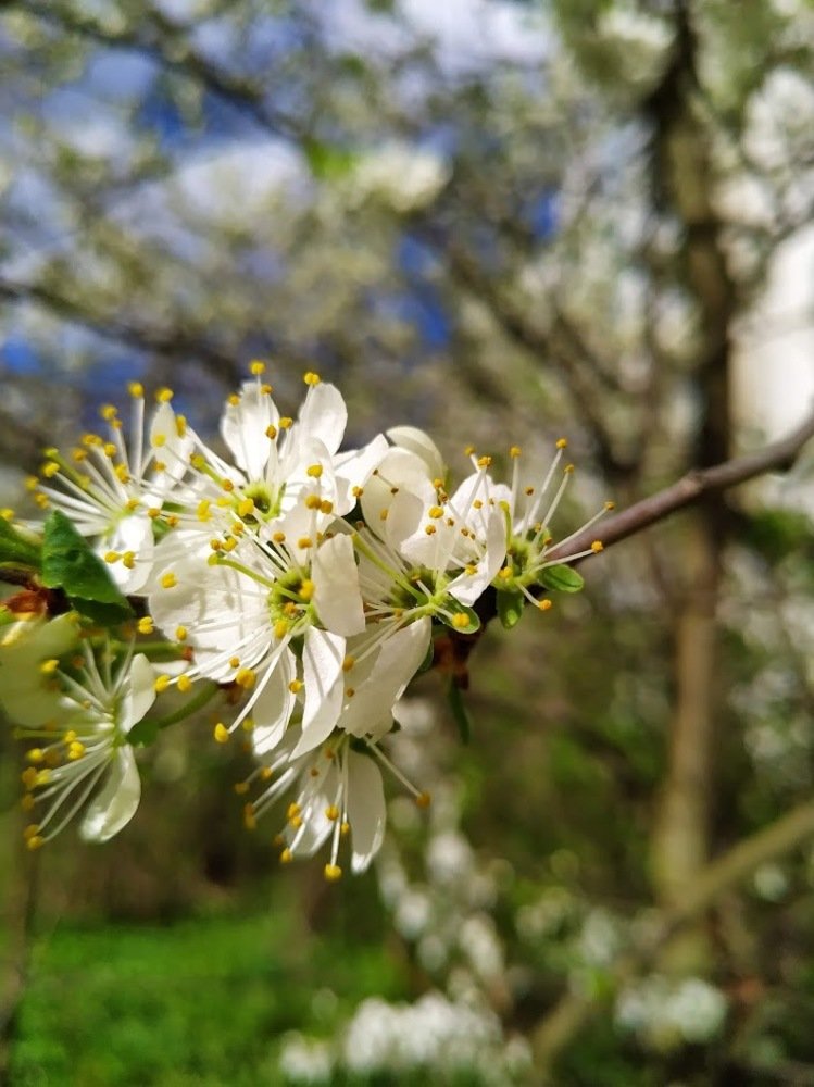 Photograph by Ольга Шкабура
