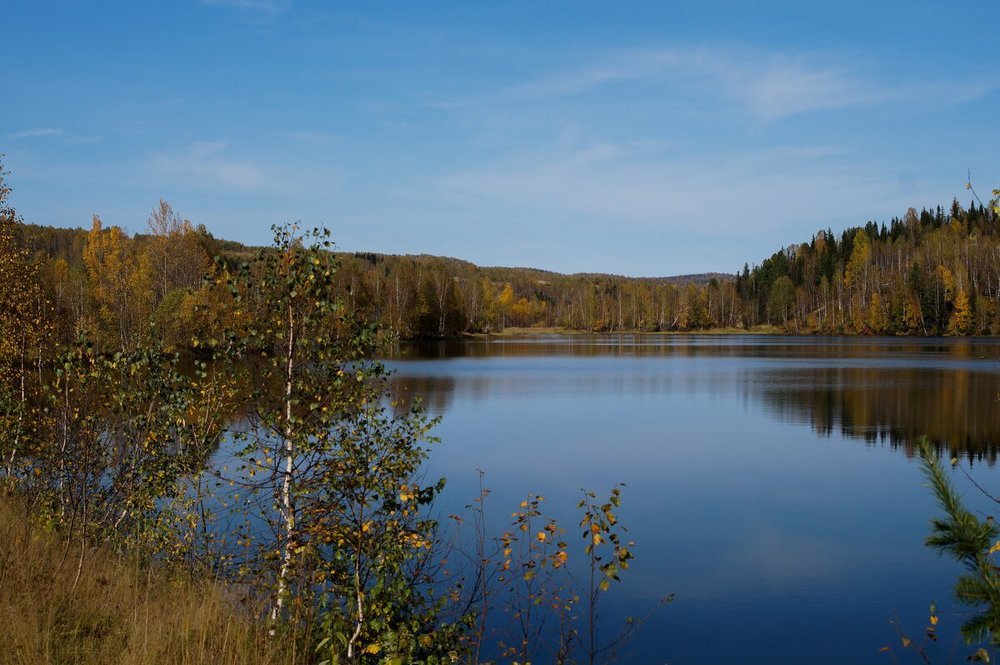 Photograph by Диана Кошелева