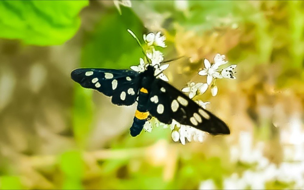 Фотография автора Валентина Рихмаер