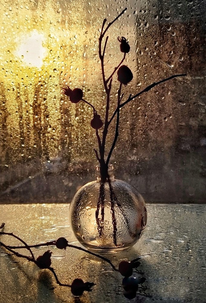 Photograph by Елена Бохолдина