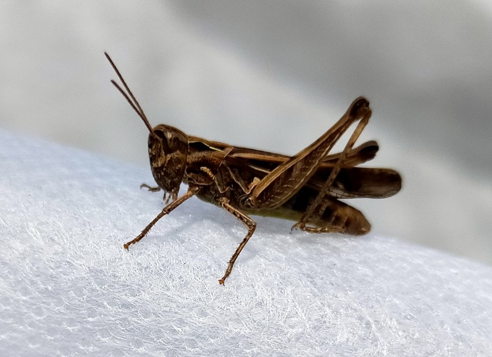 Photograph by Оксана Макарова