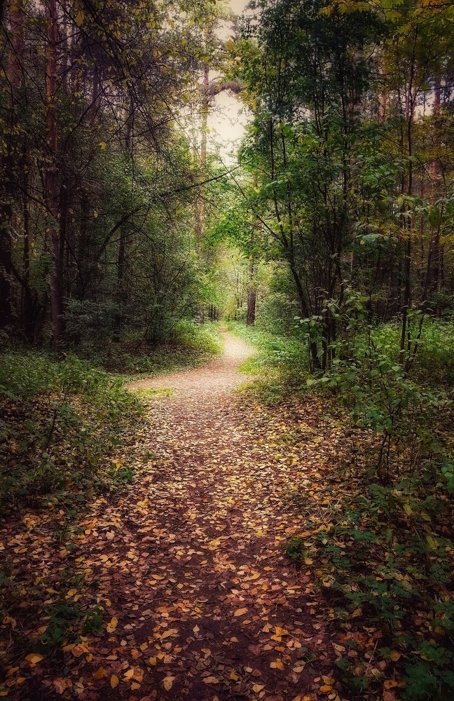 Фотография автора Евгения Снигирева